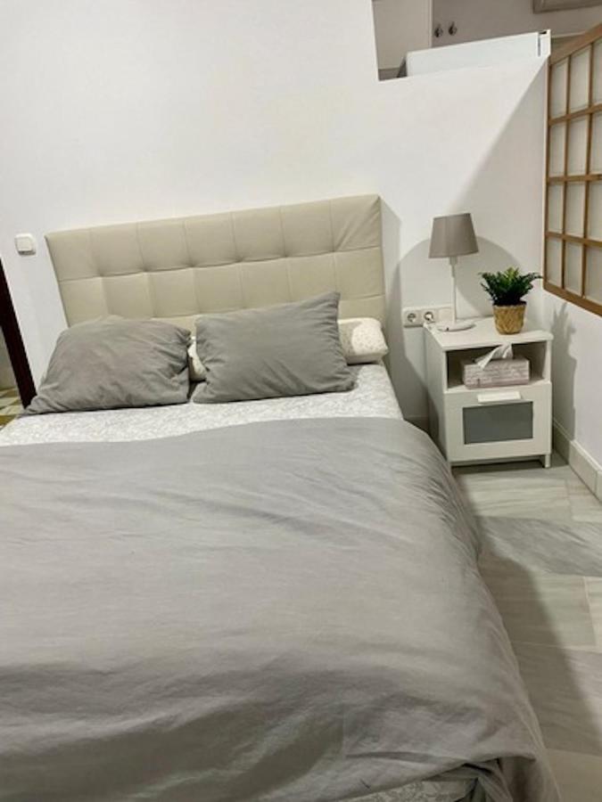 Holidays2Malaga Jinetes Junto Casco Historico & Parking公寓 外观 照片